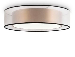 Потолочный светильник FR6005CL-L36G